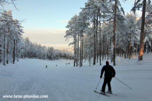 tara-kaludjerske-bare-skijanje