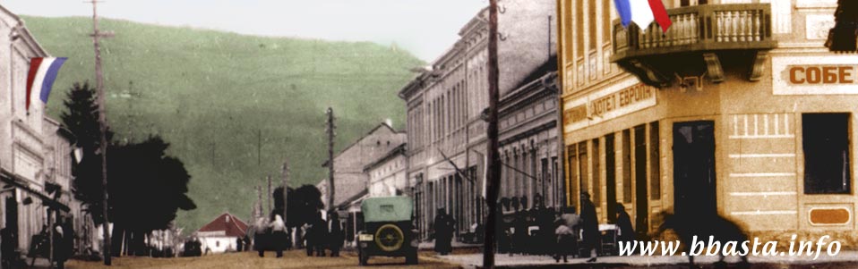 Poreklo prezimena, selo Rogačica (Bajina Bašta). . Stanje iz 1930. godine.