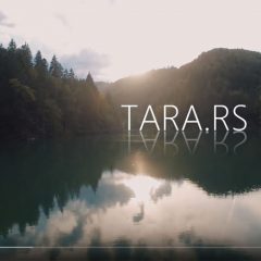 Jezero Kruščica na planini Tari – 4K Video
